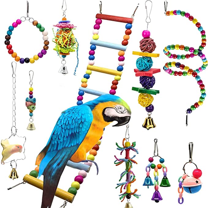 Birds